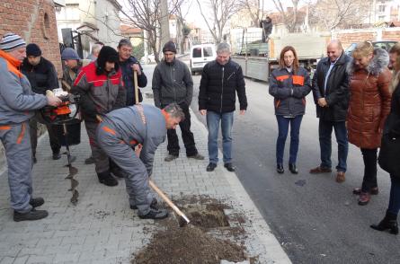 52 years of ZMM Nova Zagora, 52 trees for the town of Nova Zagora